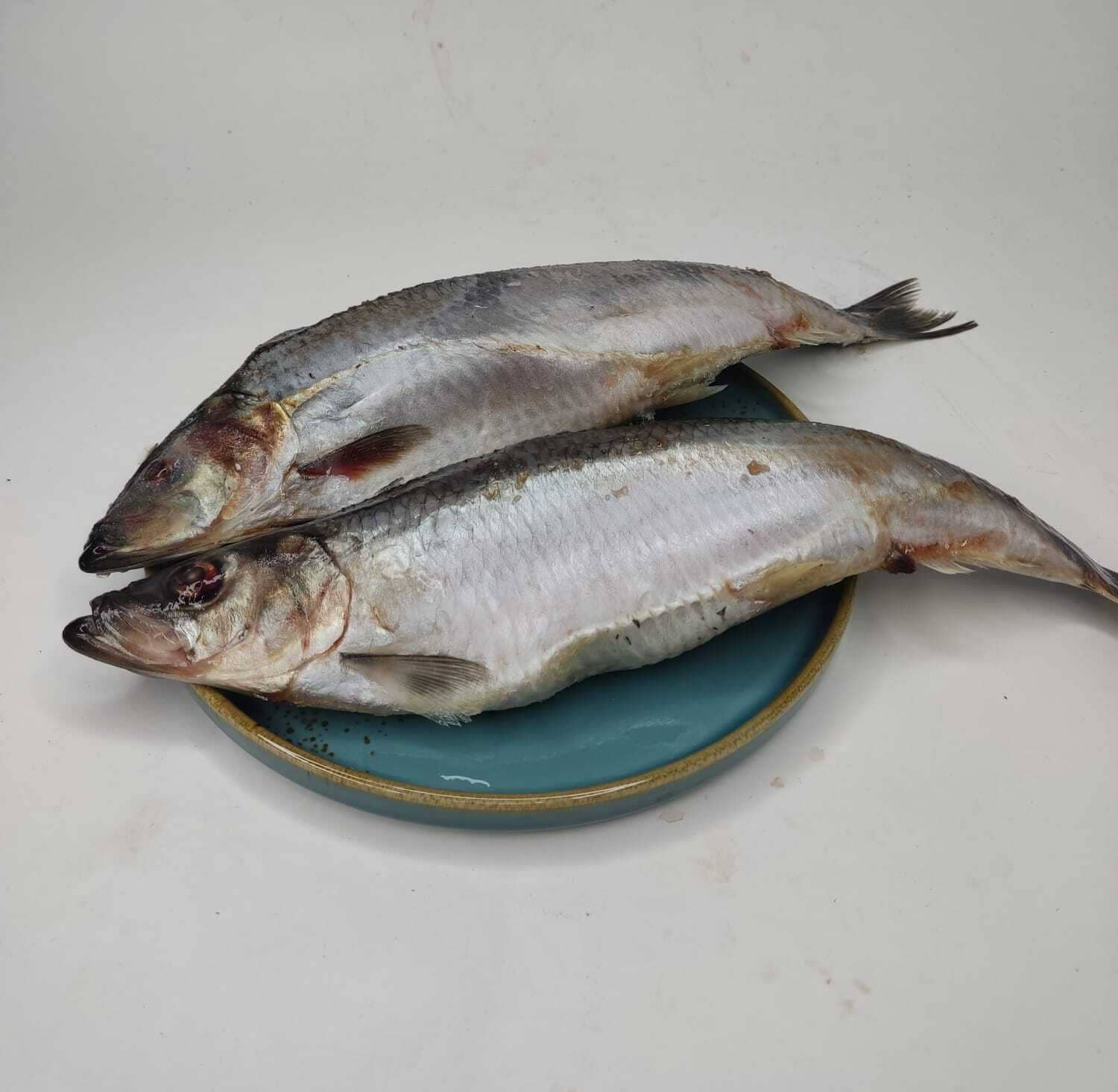 Сельдь н/р мороженая